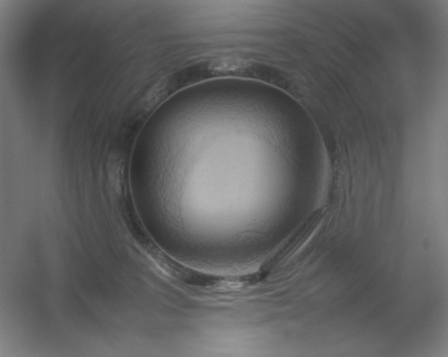 X0000054410227200508121733