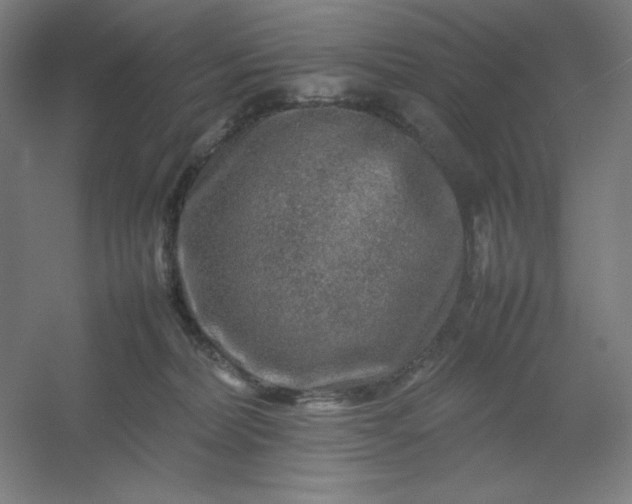 X0000054410228200508121733