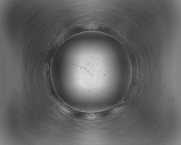 X0000054410229200508121733