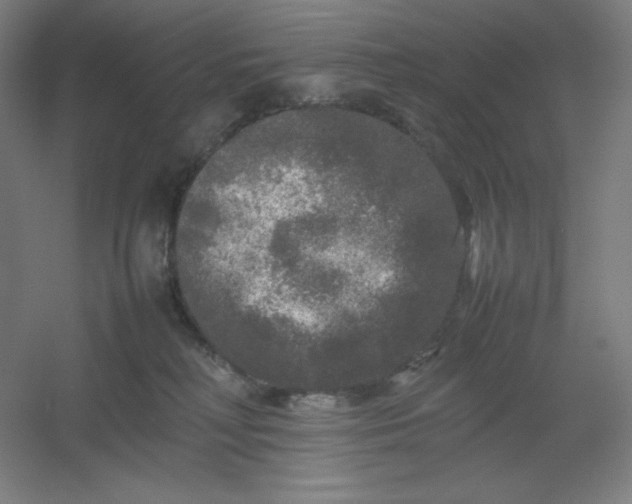 X0000054410230200508121733