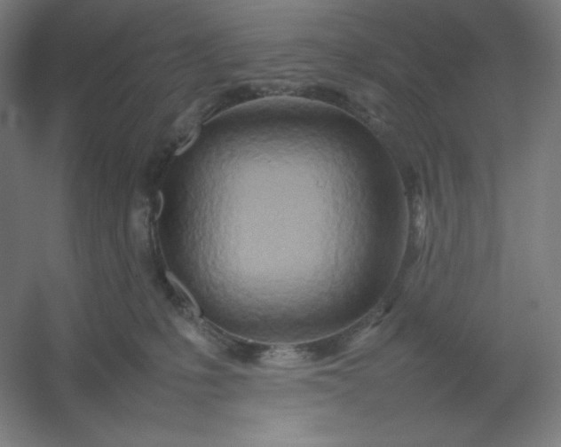 X0000054410231200508121733