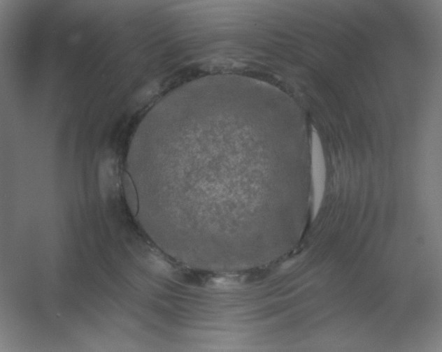 X0000054410232200508121733