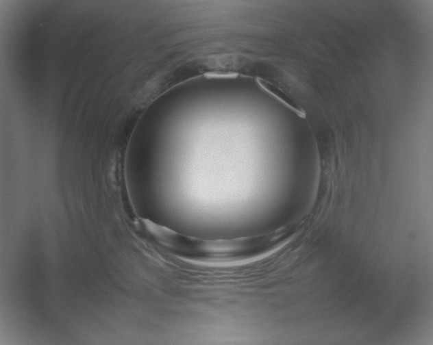 X0000054410233200508121733