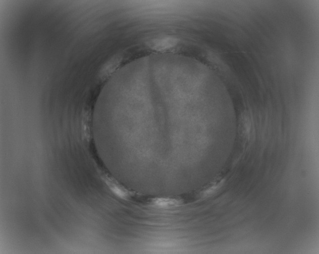 X0000054410234200508121733