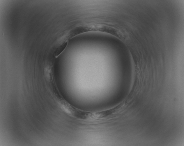 X0000054410235200508121733