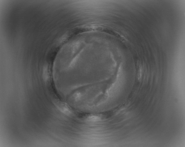 X0000054410236200508121733