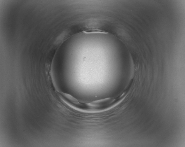 X0000054410237200508121733