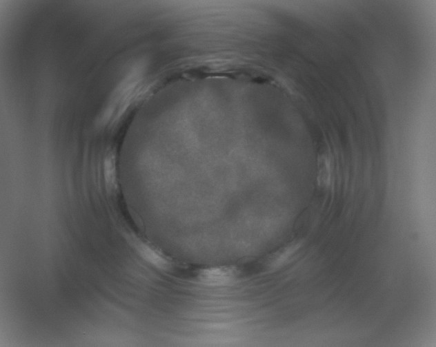 X0000054410238200508121733