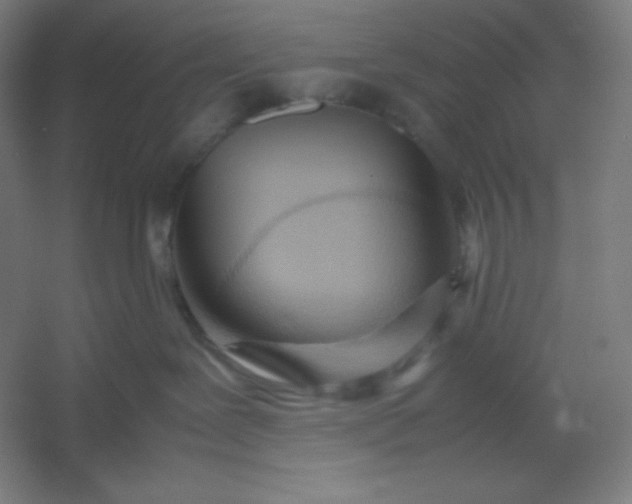 X0000054410239200508121733