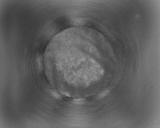 X0000054410240200508121733