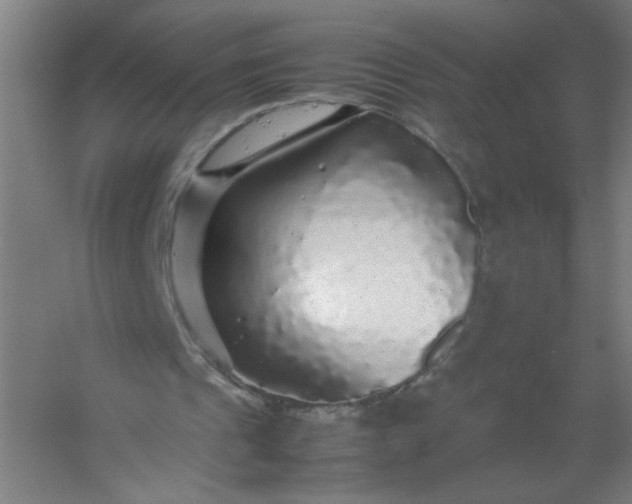 X0000054410241200508121732