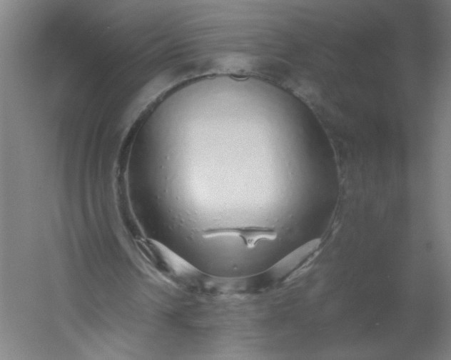 X0000054410242200508121732