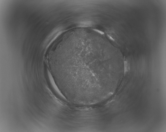 X0000054410243200508121732