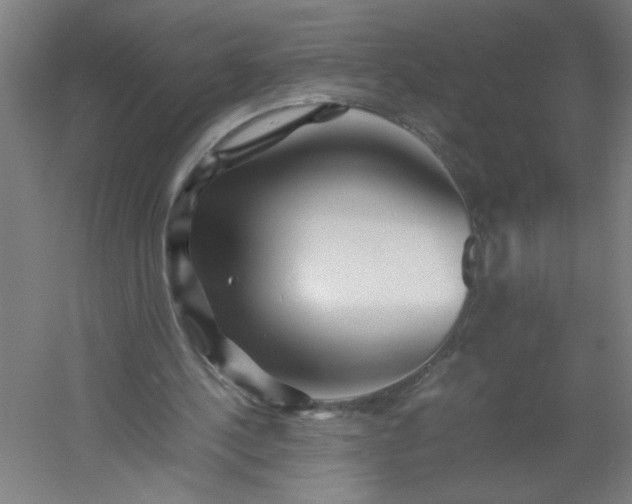 X0000054410244200508121732