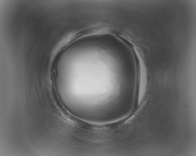 X0000054410245200508121732