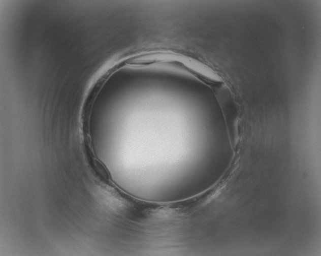 X0000054410246200508121732