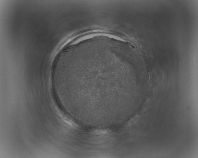 X0000054410247200508121732