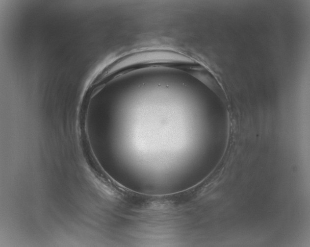 X0000054410248200508121733