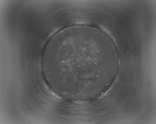 X0000054410249200508121733