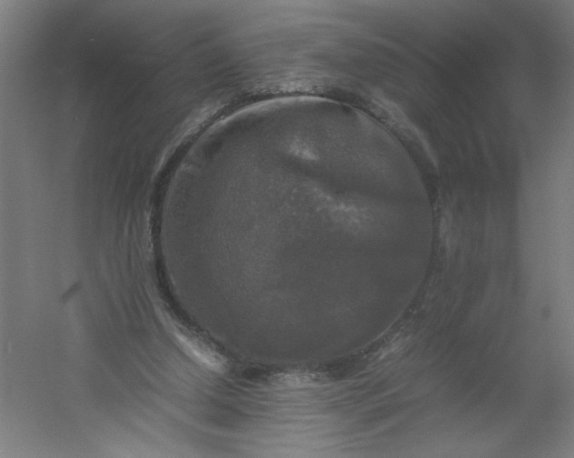 X0000054410250200508121733