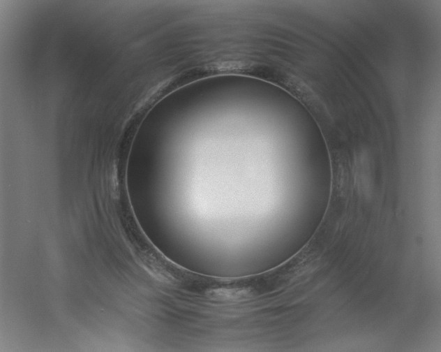 X0000054410251200508121733