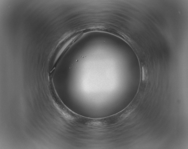 X0000054410253200508121733