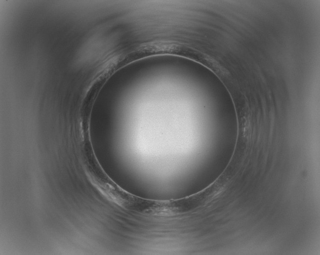 X0000054410254200508121733