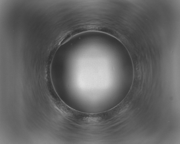 X0000054410255200508121733