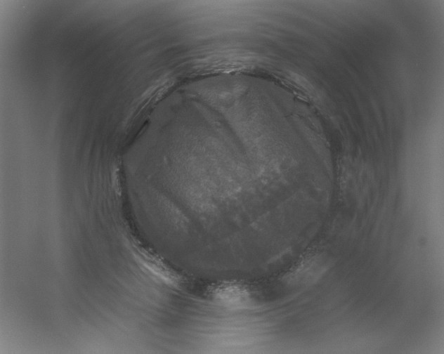 X0000054410258200508121733