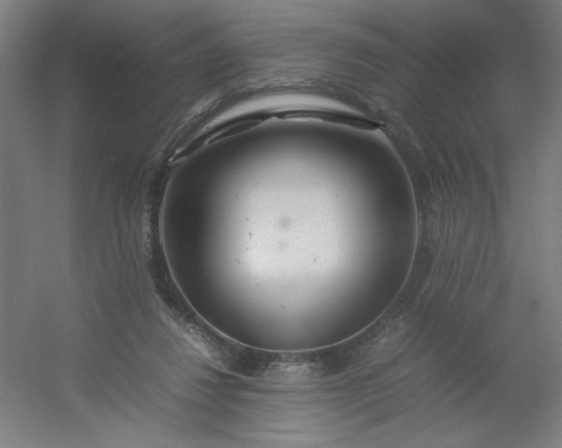 X0000054410260200508121733