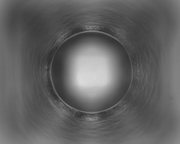 X0000054410263200508121733