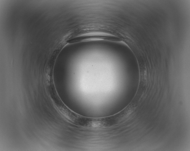 X0000054410264200508121733