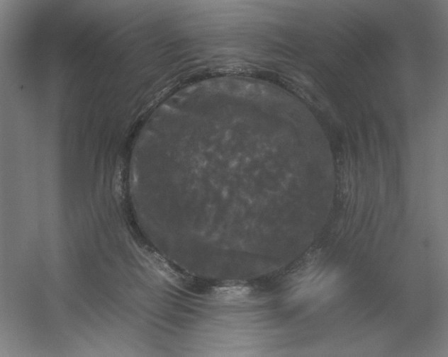 X0000054410266200508121733