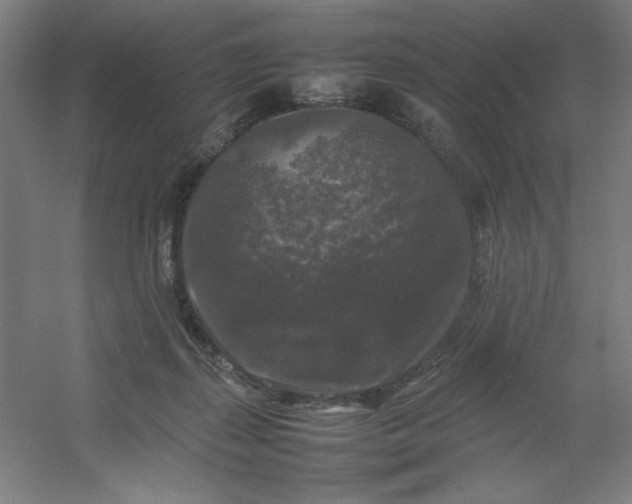 X0000054410267200508121733