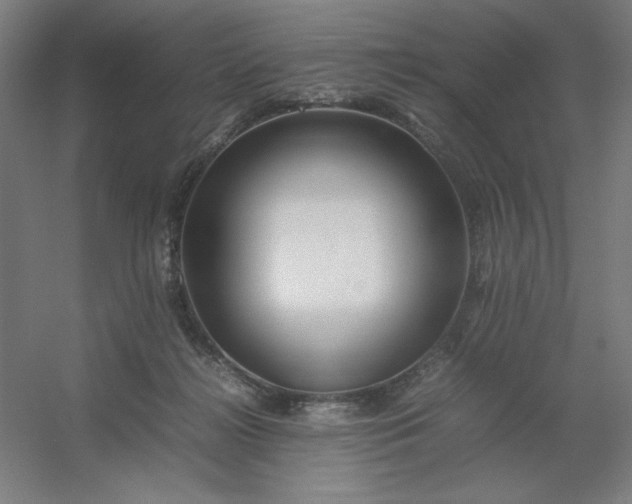 X0000054410268200508121733