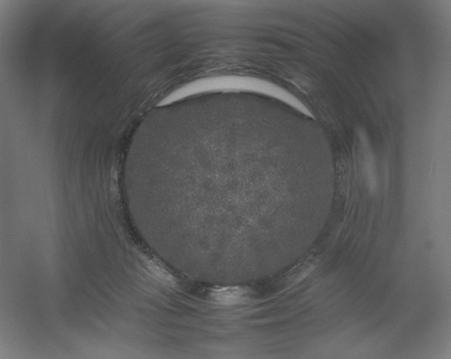 X0000054410269200508121733