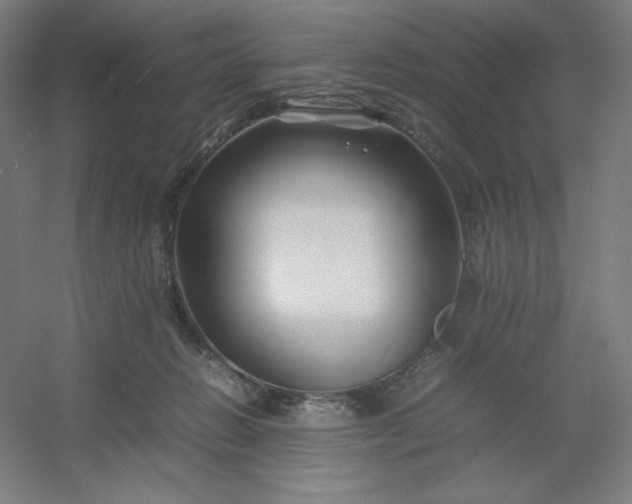 X0000054410270200508121733