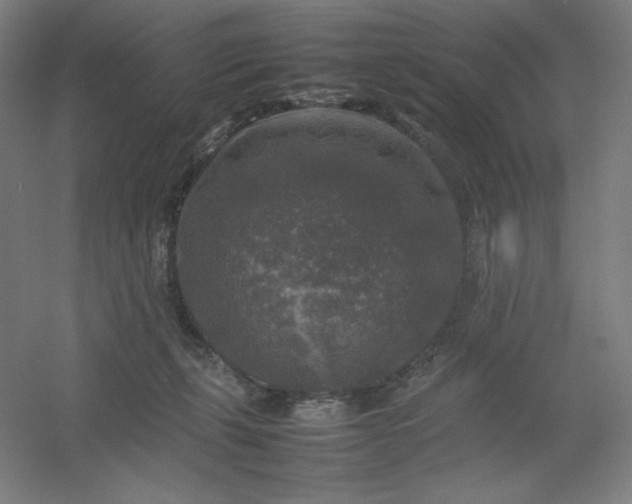 X0000054410271200508121733