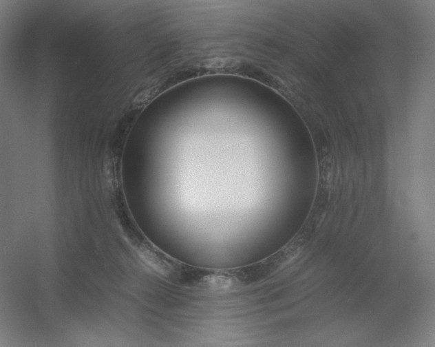 X0000054410272200508121733