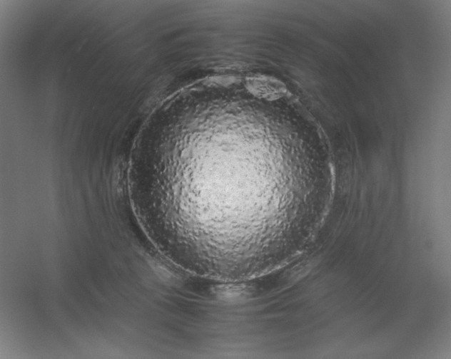 X0000054410273200508121733