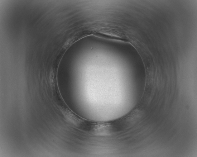 X0000054410274200508121733