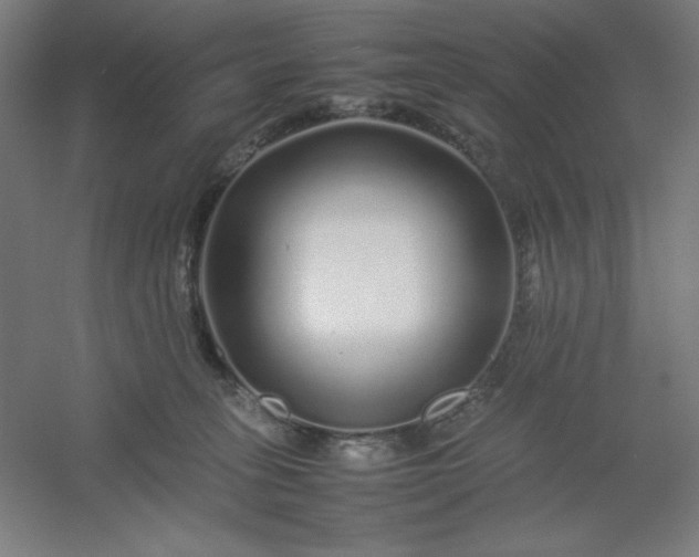 X0000054410275200508121733