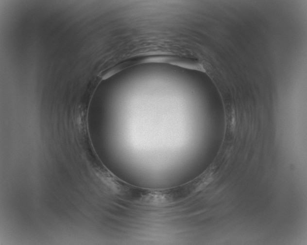 X0000054410276200508121733