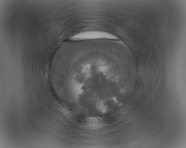 X0000054410277200508121733