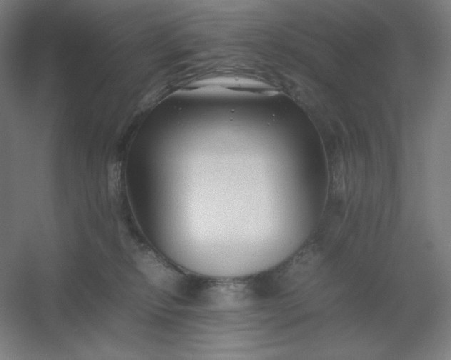 X0000054410278200508121733