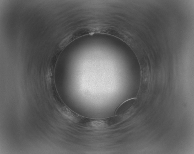 X0000054410279200508121733