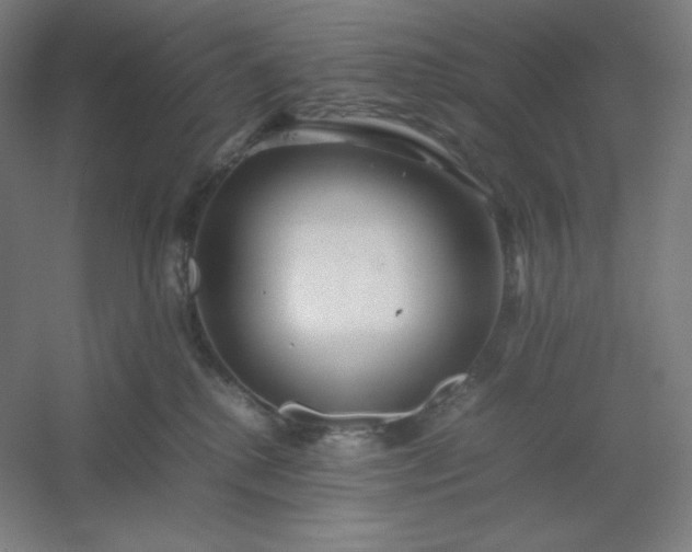 X0000054410280200508121733