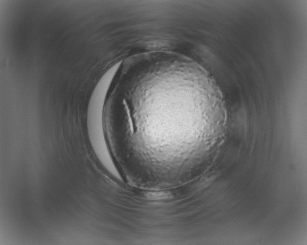 X0000054410281200508121733