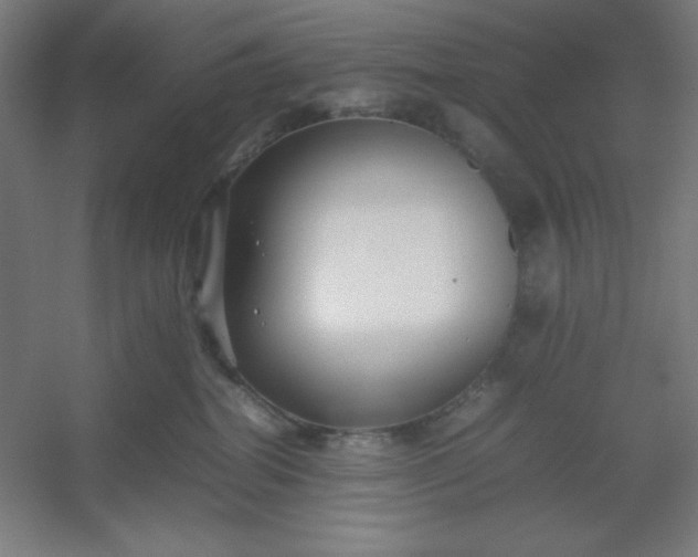 X0000054410282200508121733