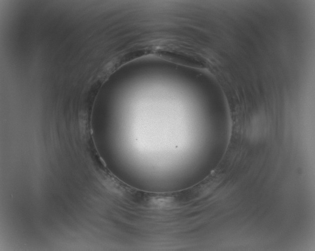 X0000054410283200508121733